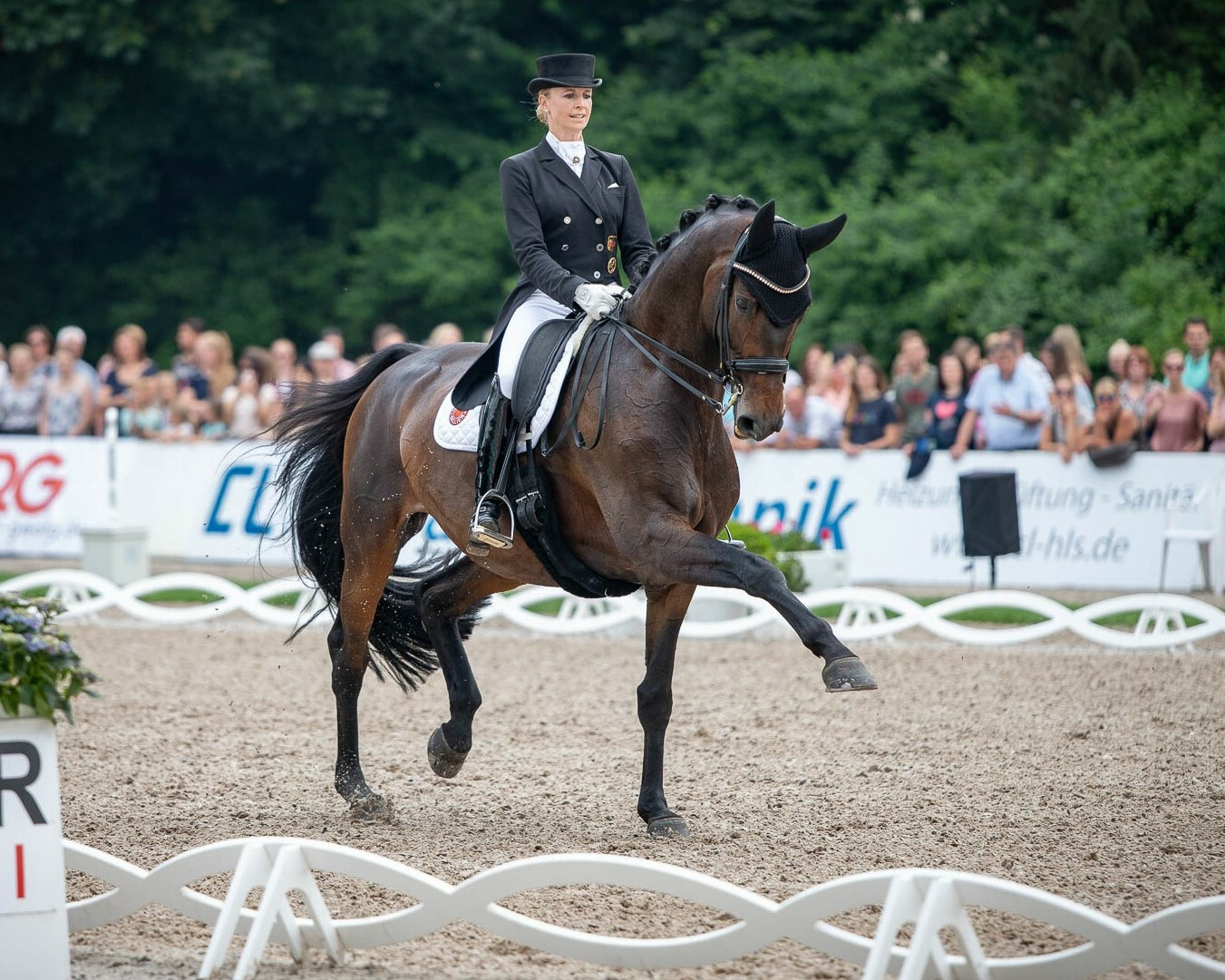 Jessica von Bredow-Werndl mit ihrem dunkelbraunen Pferd im Dressurviereck während einer Prüfung.