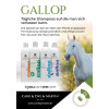 CARR DAY MARTIN Gallop Fleck-Entfernungs Shampoo 500ml