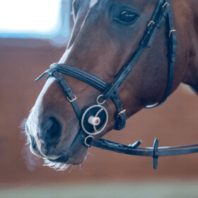 NATHE Dreiringgebiss 20mm Thermoplast mit Gleitsteg...