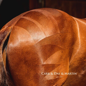 CARR DAY MARTIN Dreamcoat Glanzspray