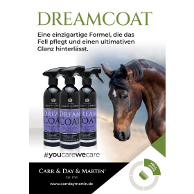CARR DAY MARTIN Dreamcoat Glanzspray