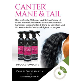 CARR DAY MARTIN Canter Mane &amp; Tail Conditioner Spray